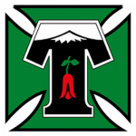 Deportes Temuco