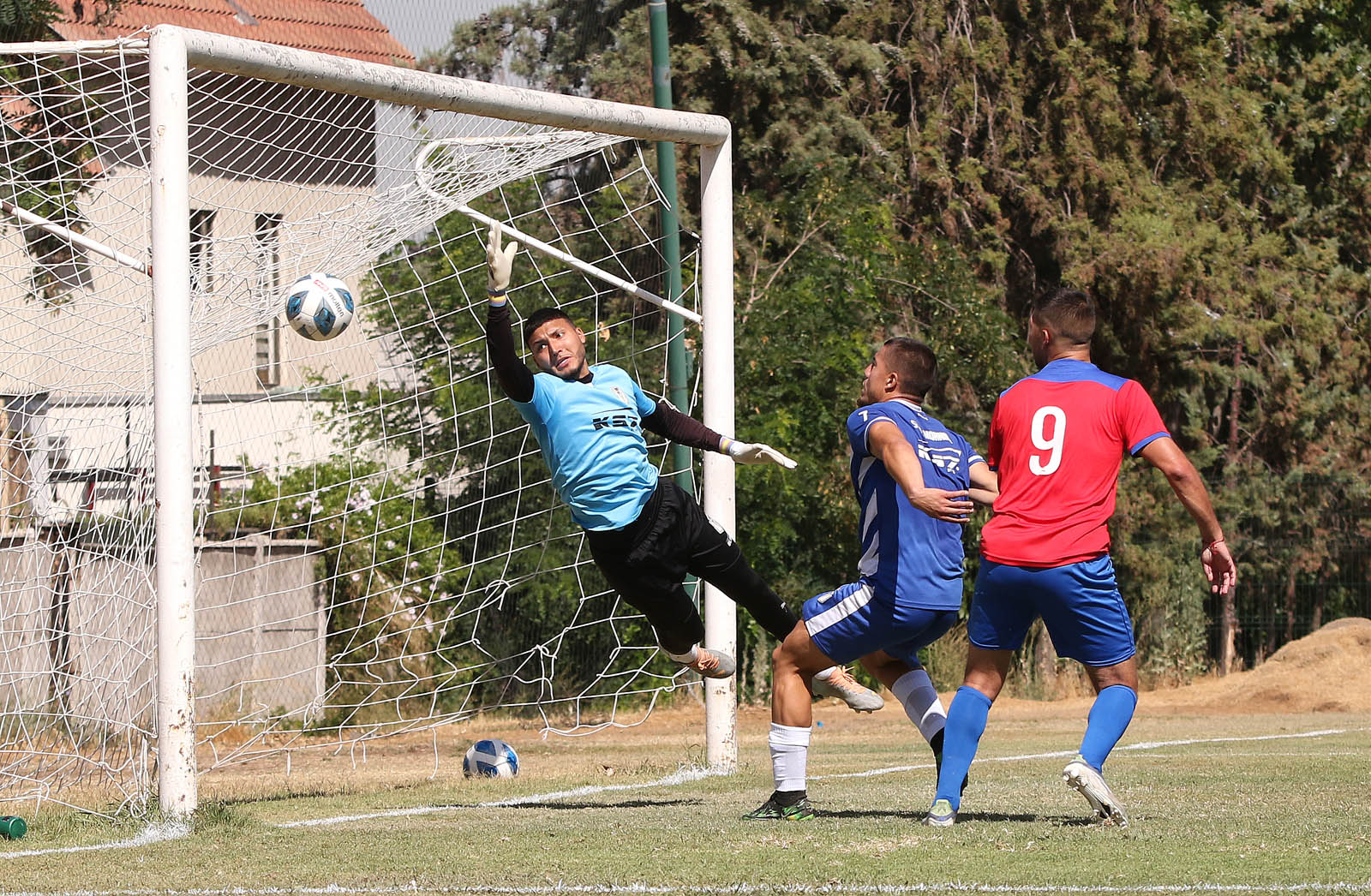 sifup gol pagina alta