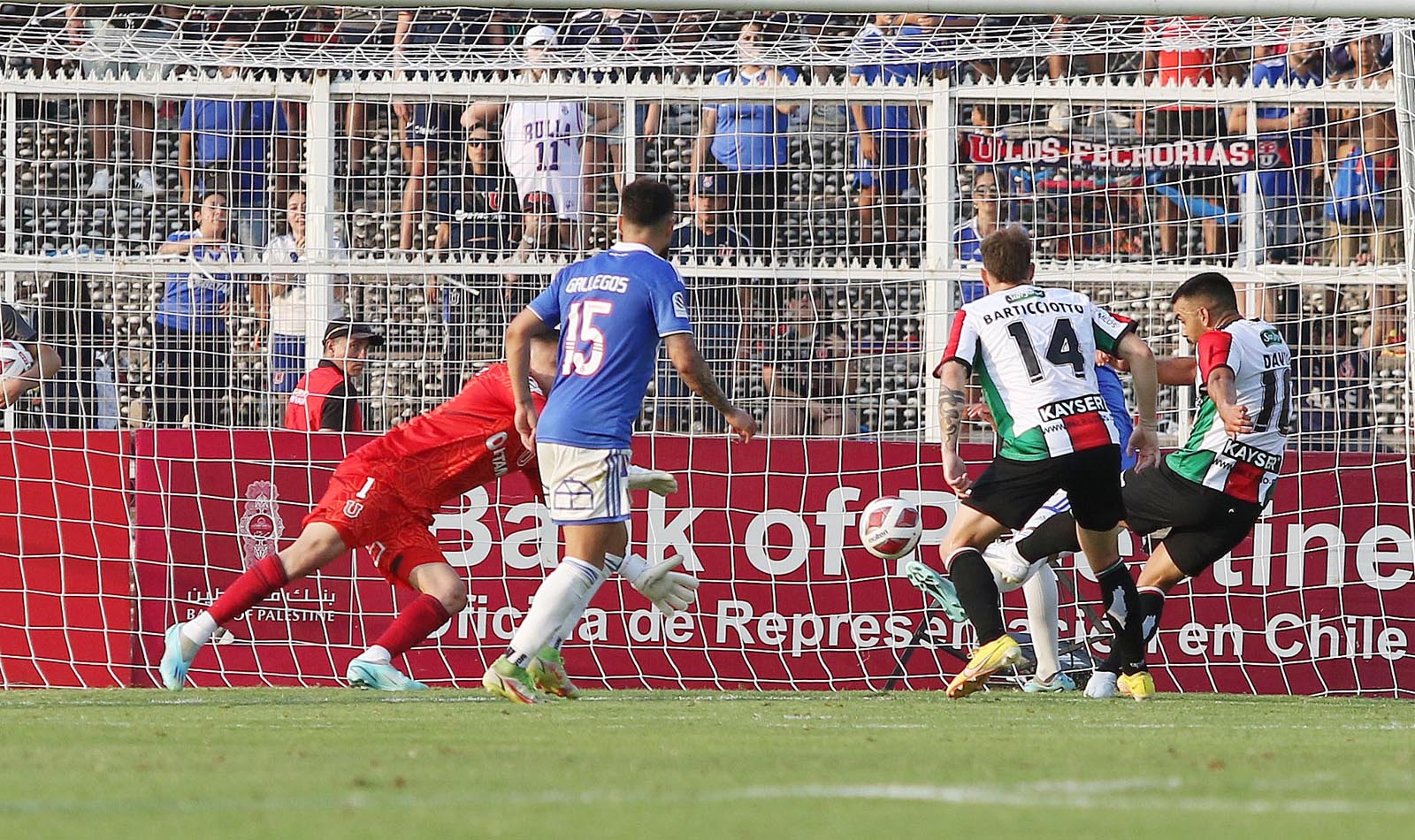 la u palestino22 ALTA