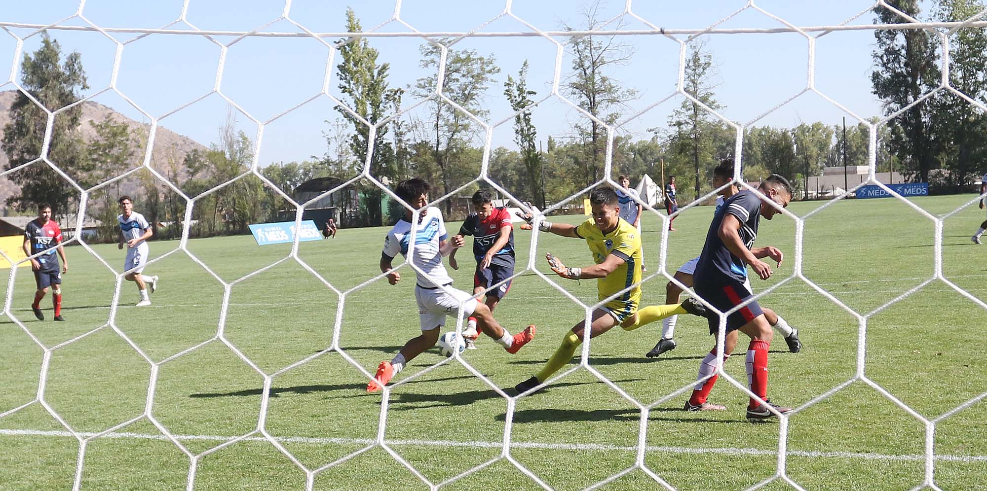 a sifup 1000 gol alta