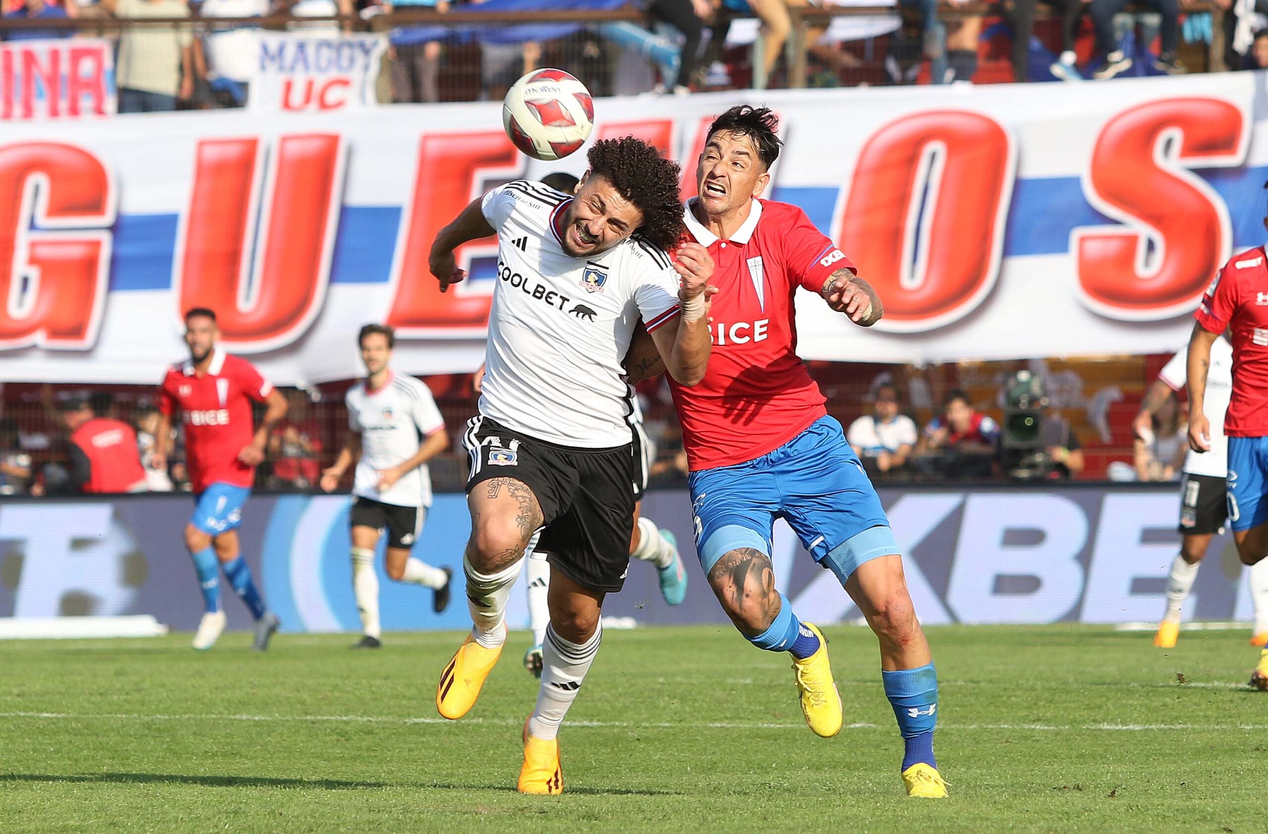 catolica 08