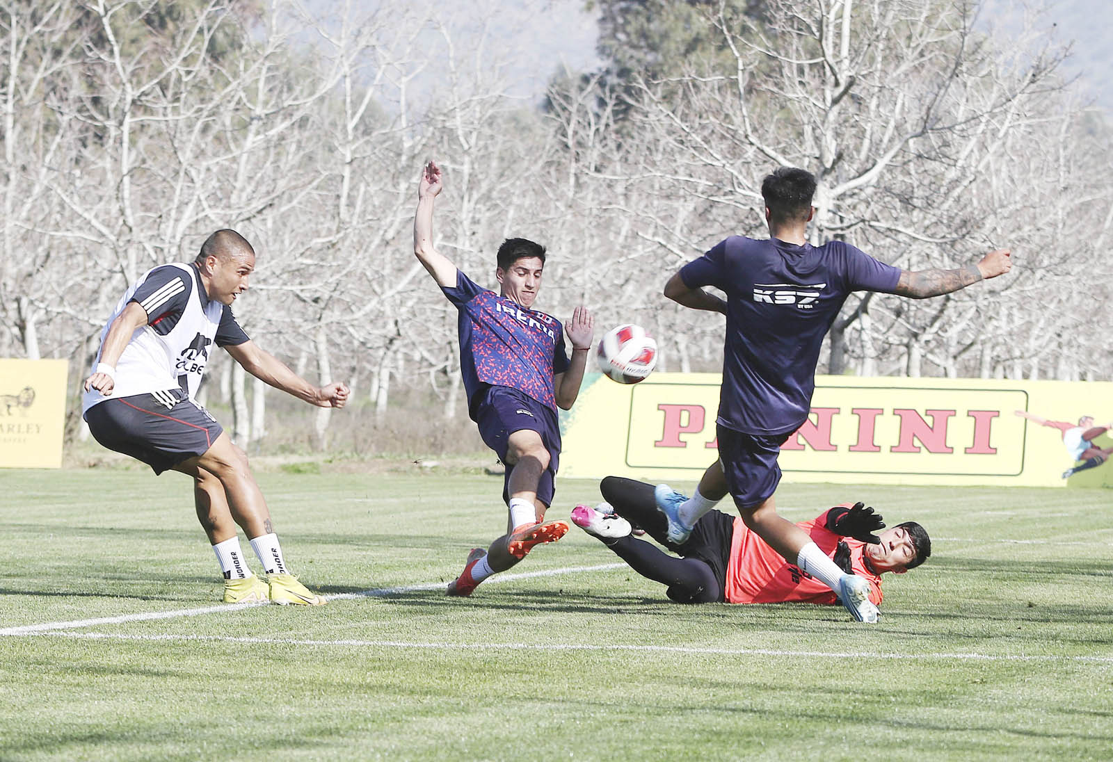 colo colo iberia gol alta alta (1)