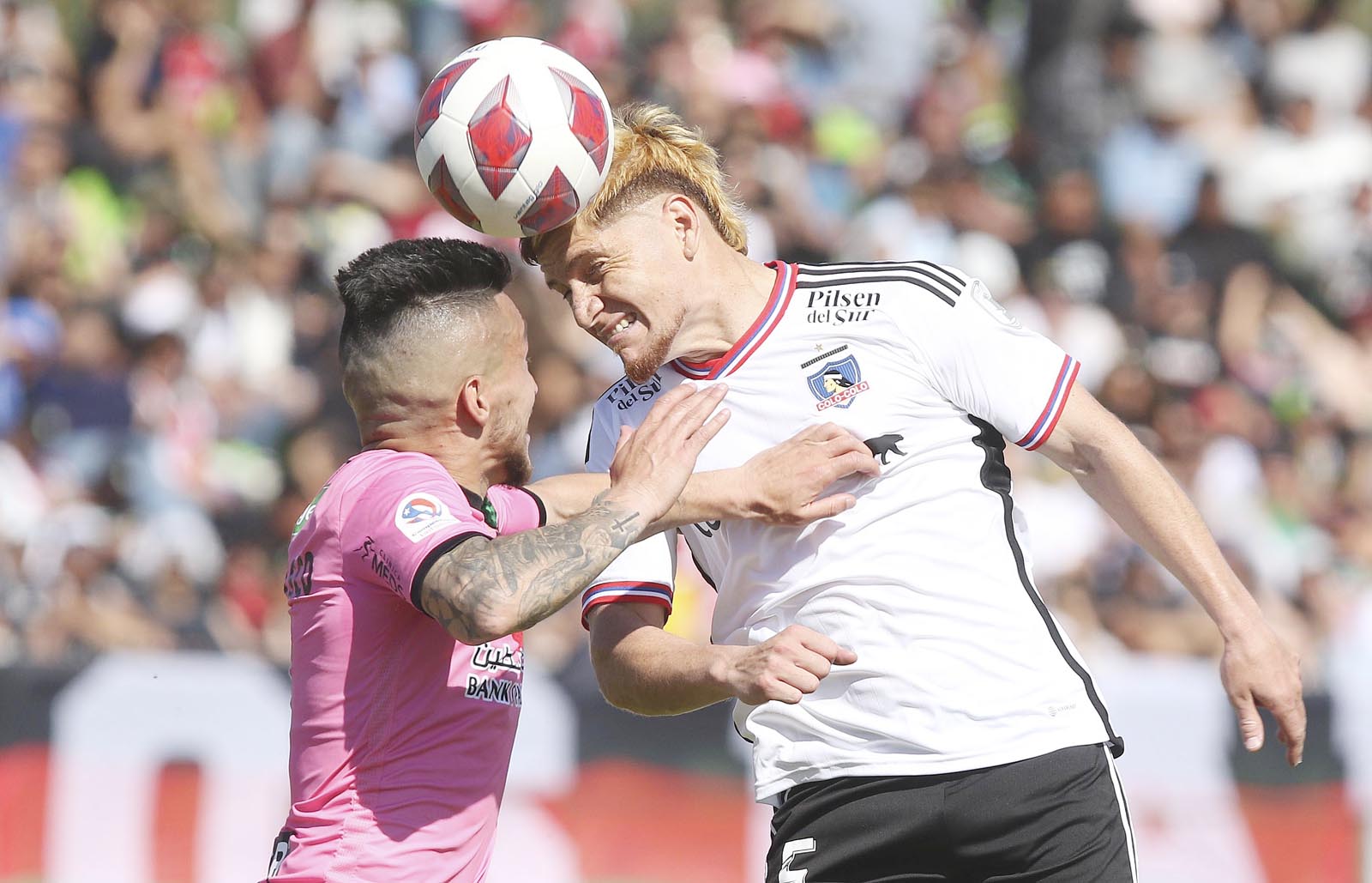 palestino 17 alta