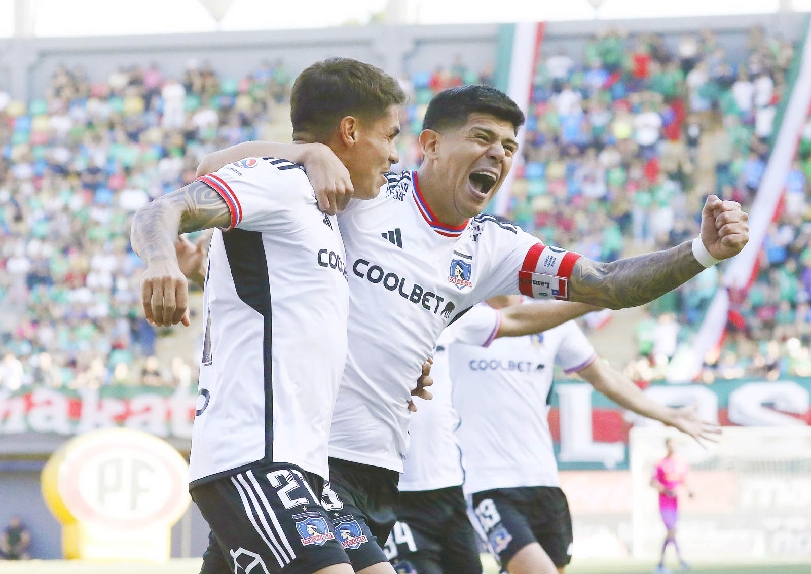 colo colo alata alta
